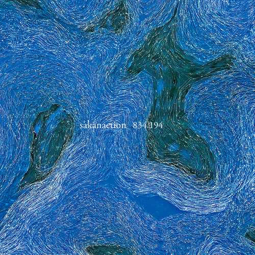 sakanaction (サカナクション)_834.194专辑_QQ音乐_听我想听的歌