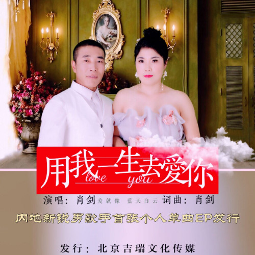 用我一生去爱你