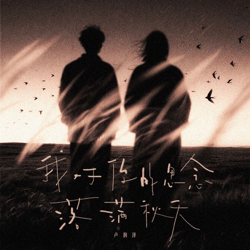 我对你的思念落满秋天