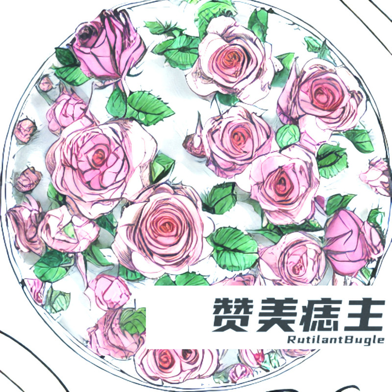 赞美痣主封面