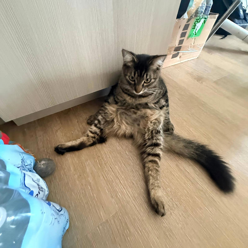 NFWU封面