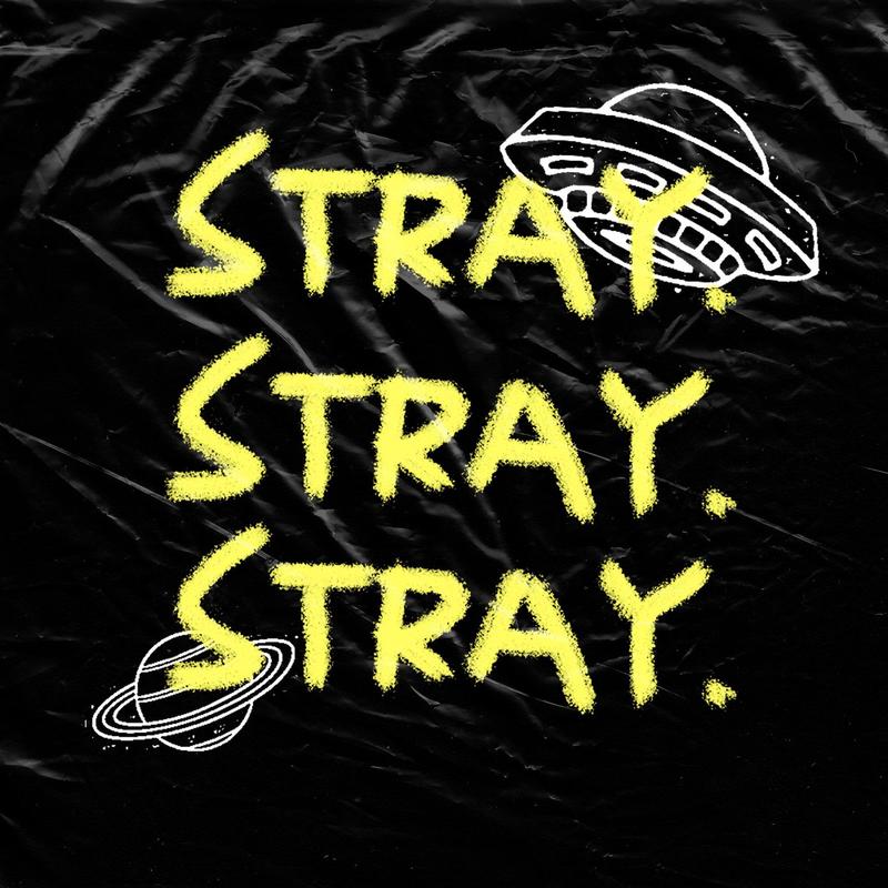 流浪stray封面