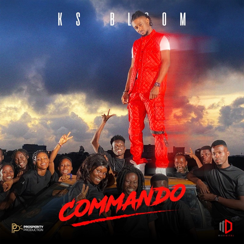 Commando封面