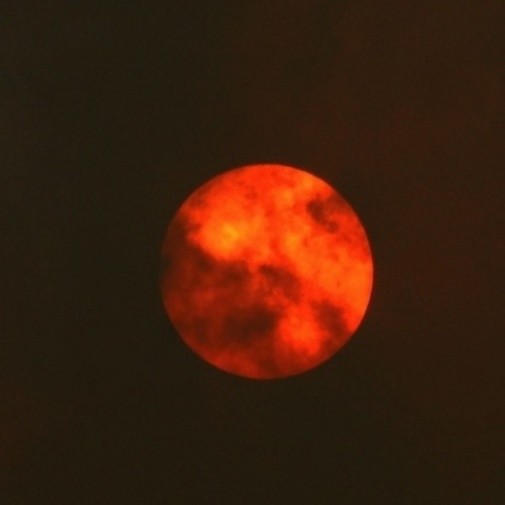 RedSun封面