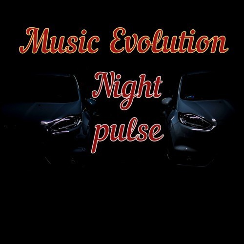 NightPulse封面