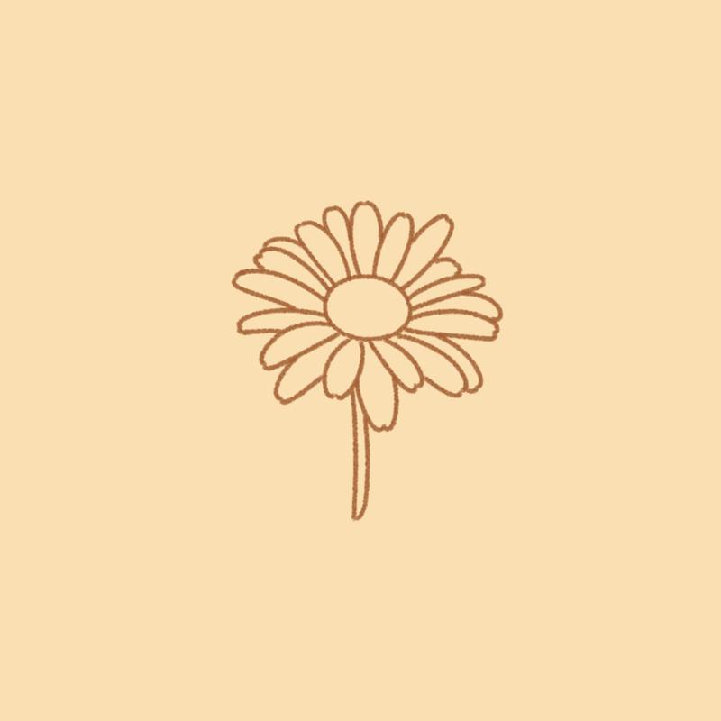 Daisy封面
