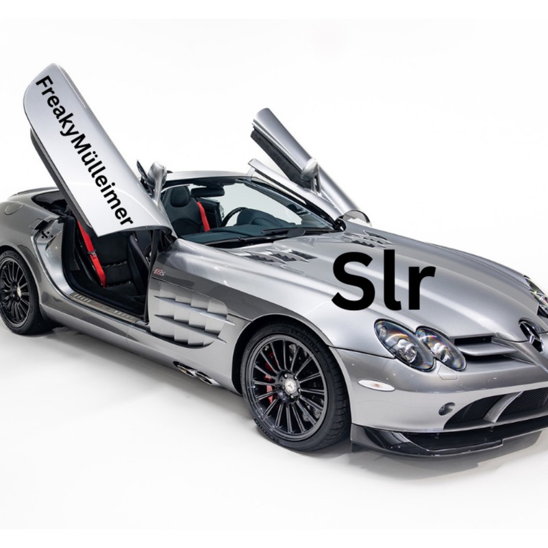 SLR封面