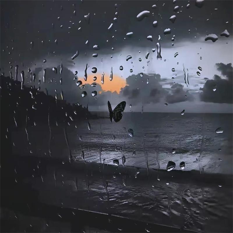 AM封面