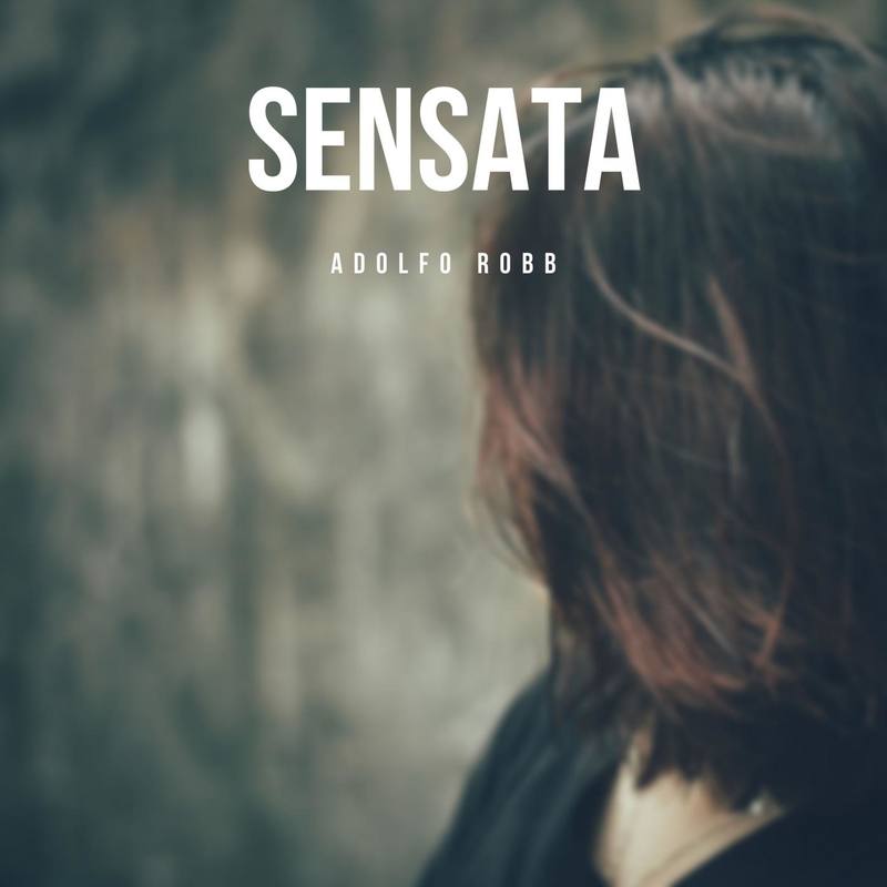 Sensata封面