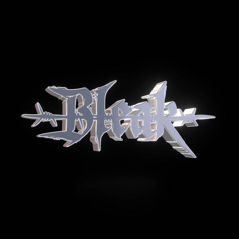 Bleak.(Slowed)封面