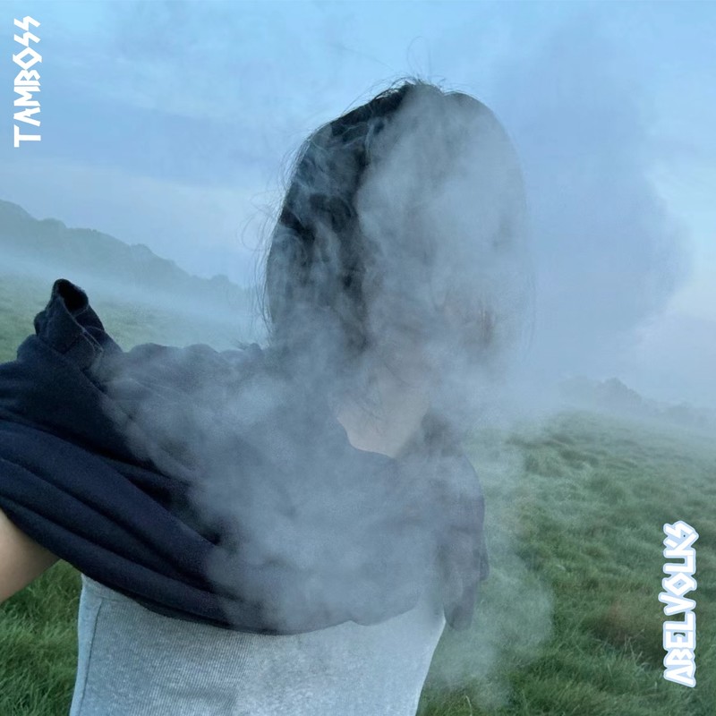 Low(VIP)封面