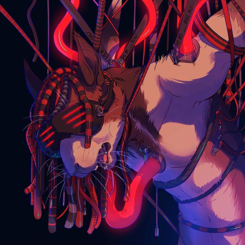 ASightUnseen封面