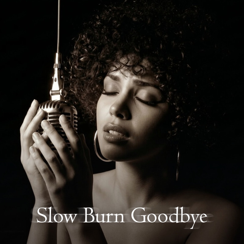 SlowBurnGoodbye封面