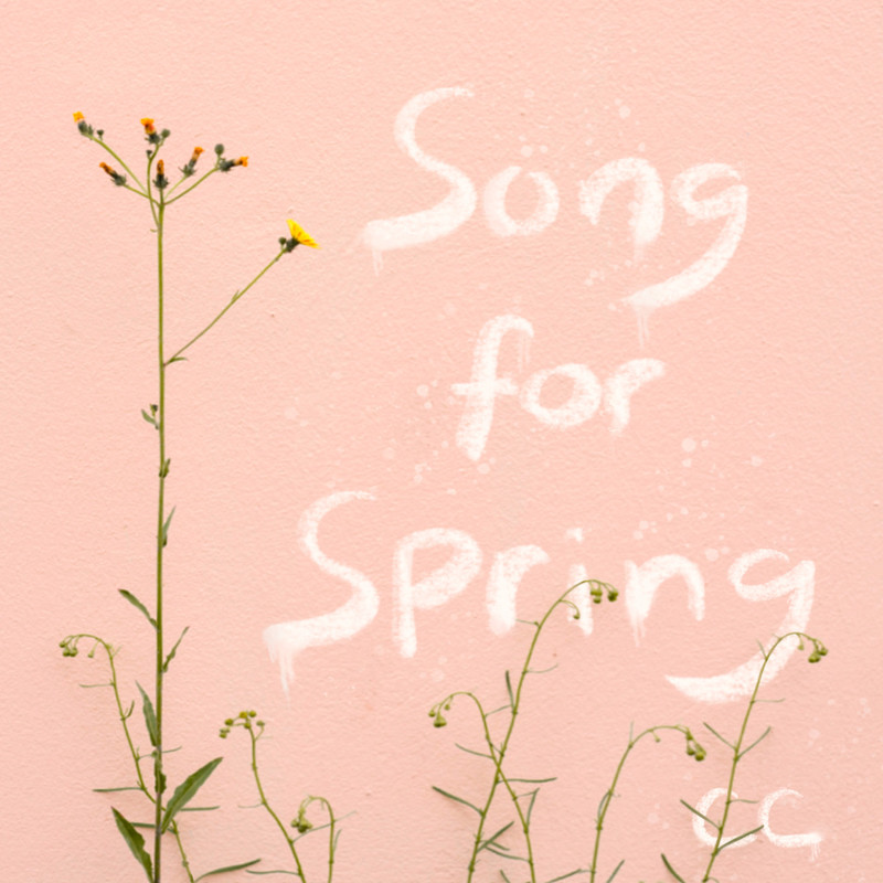 SongforSpring封面
