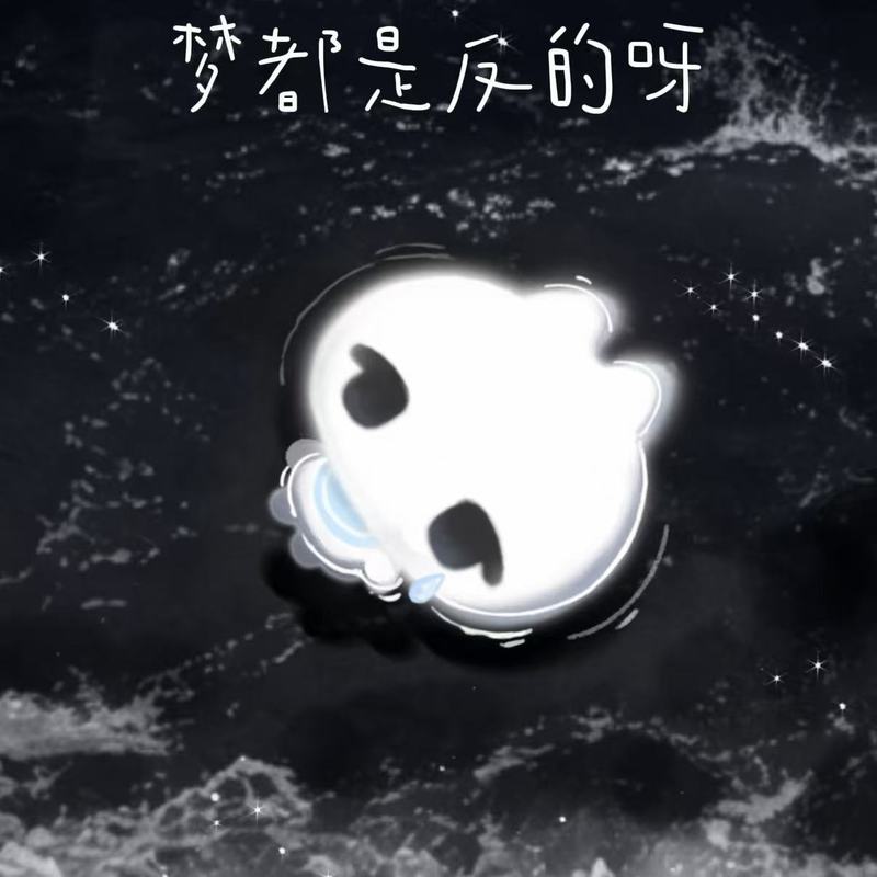 梦都是反的呀封面