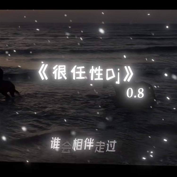 很任性DJ封面