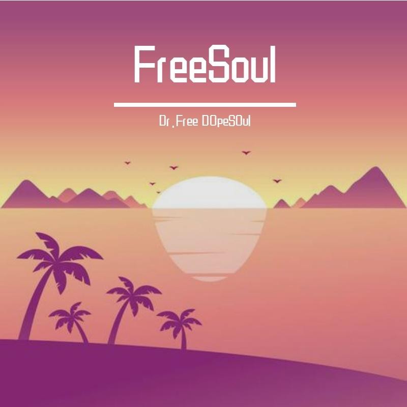 FreeSoul(Prod.ZSBeats)封面