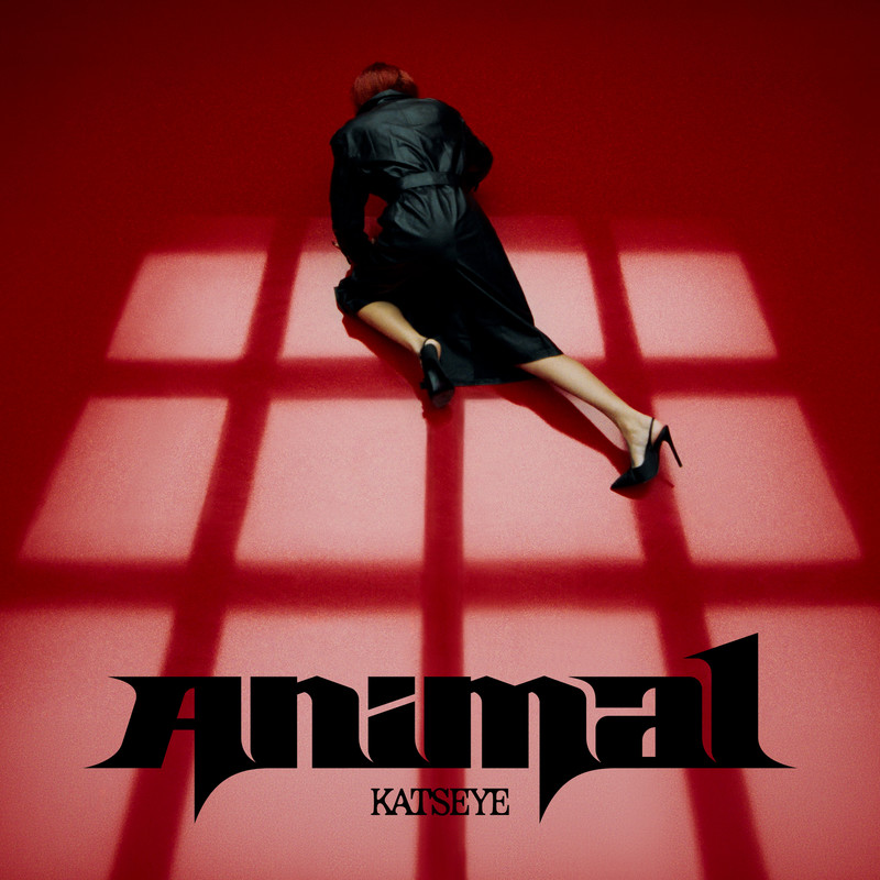 Animal封面