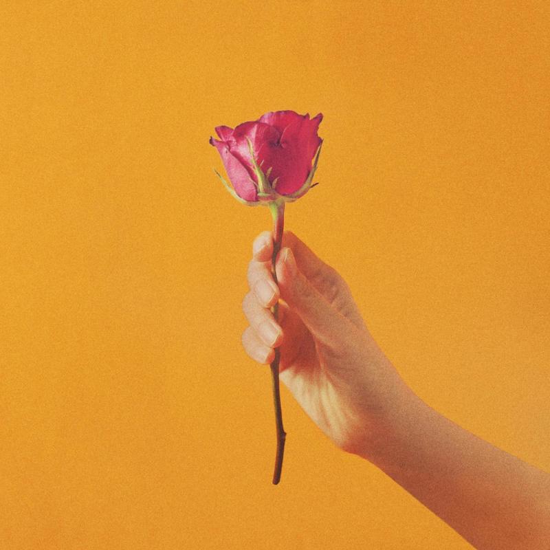 Roses封面