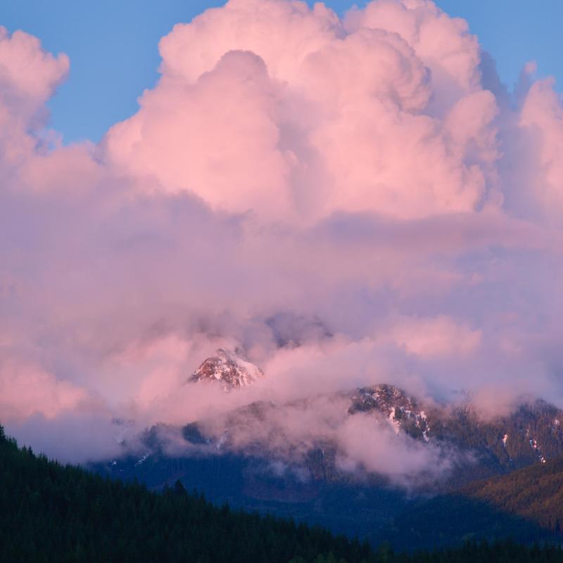 softpinkcloud封面
