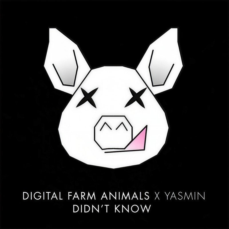 Didn'tKnow封面