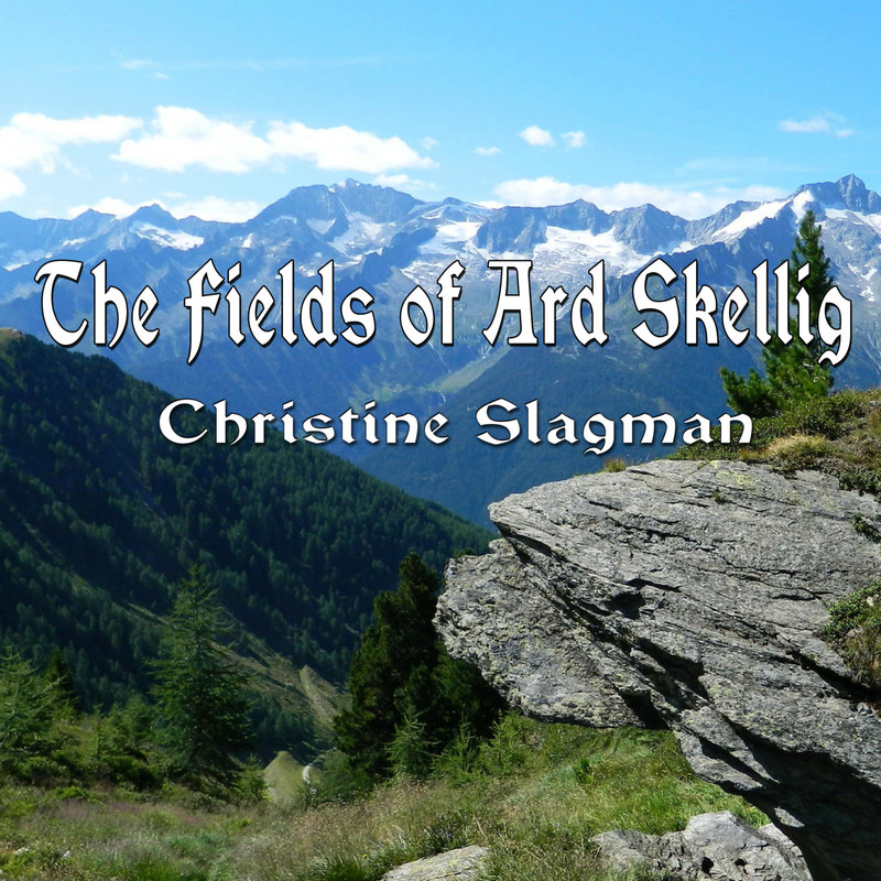 TheFieldsofArdSkellig封面