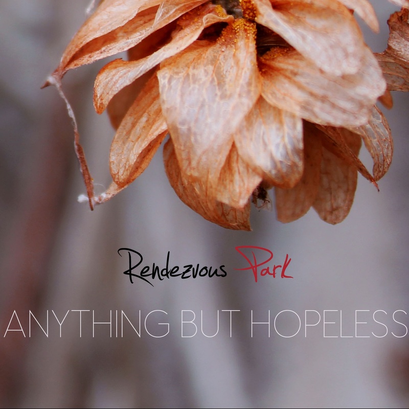 AnythingButHopeless封面