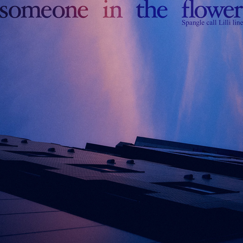 someoneintheflower封面
