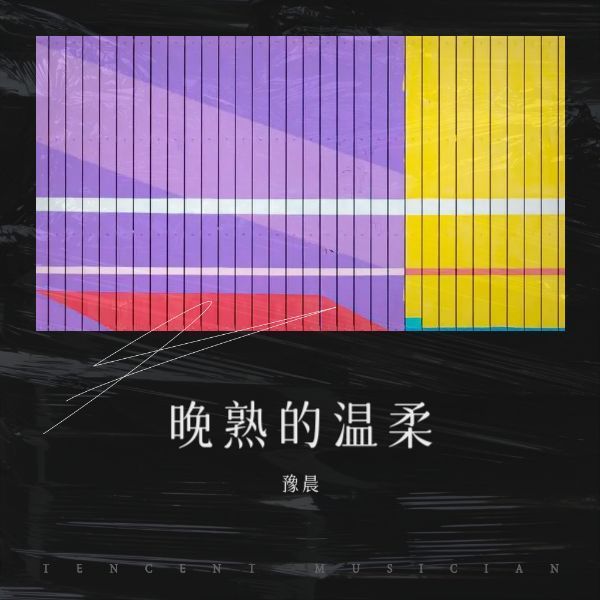 晚熟的温柔封面