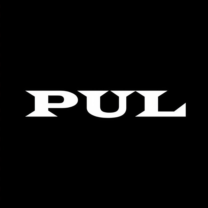 Pul封面
