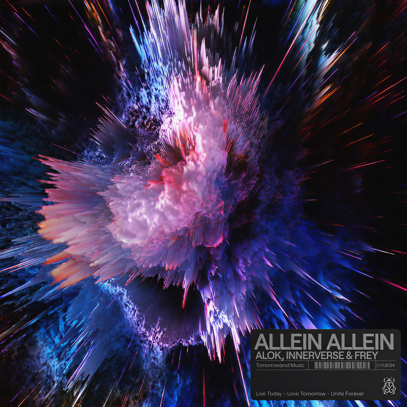AlleinAllein封面