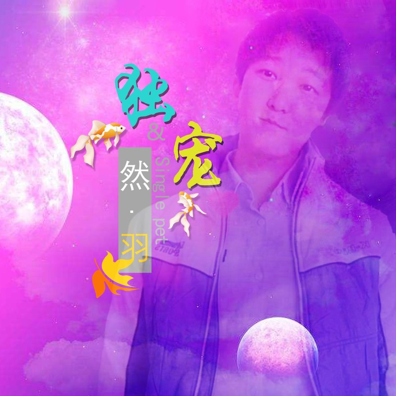 独宠封面