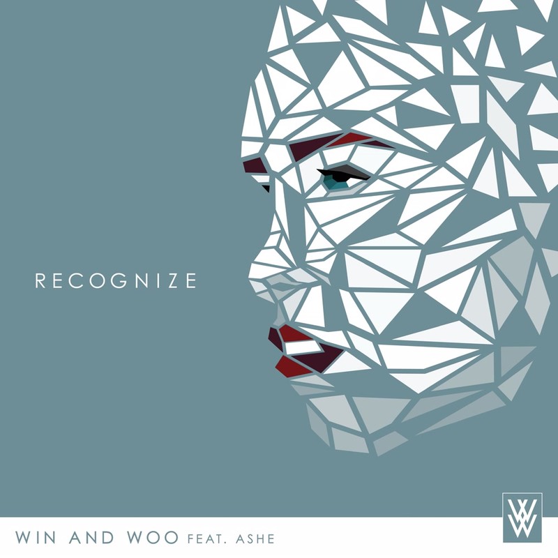 Recognize封面