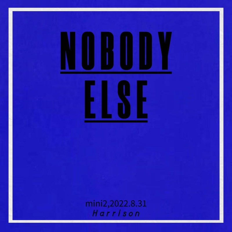 Intro:Nobodyelse封面