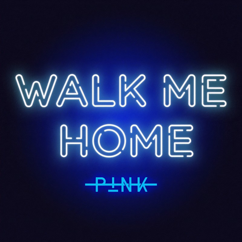 WalkMeHome封面