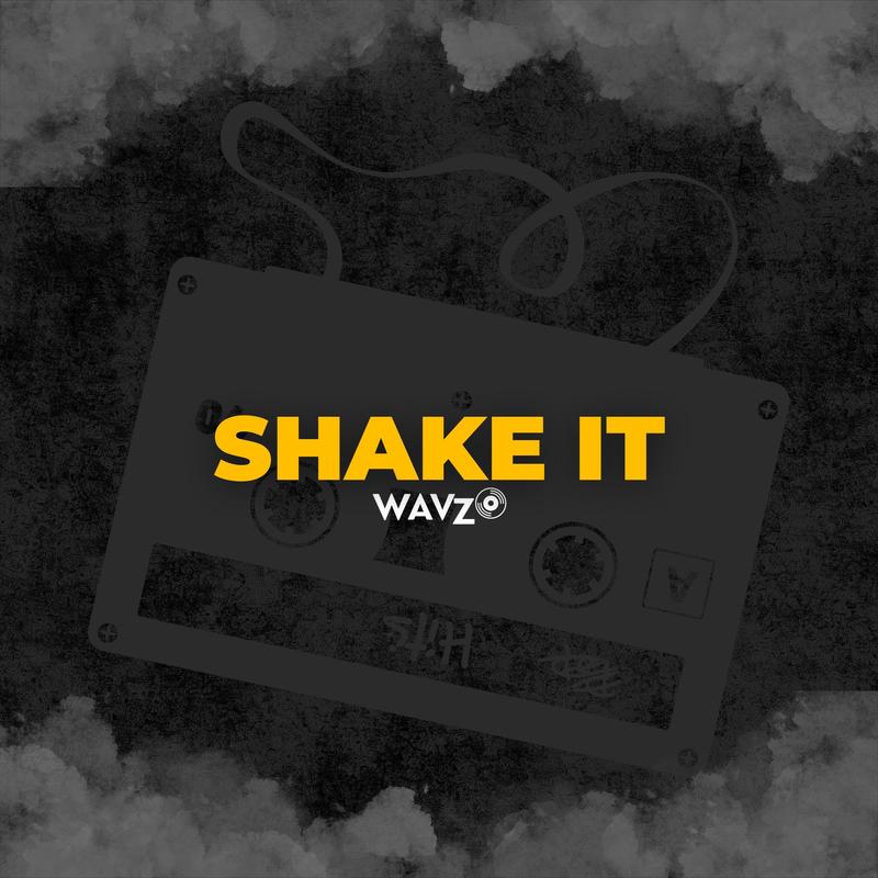 ShakeIt封面