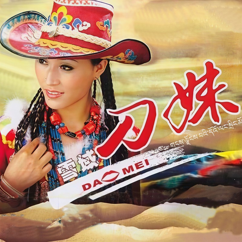 弦子的传说封面