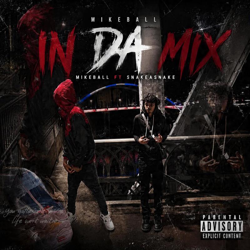 InDaMix(feat.SnakeASnake)封面