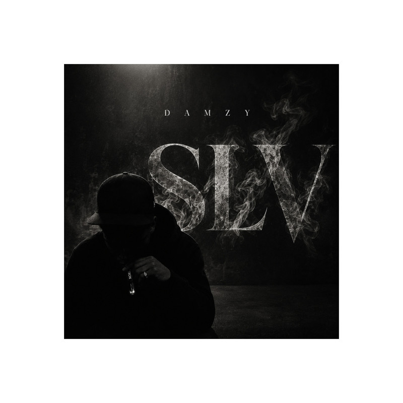 SLV封面