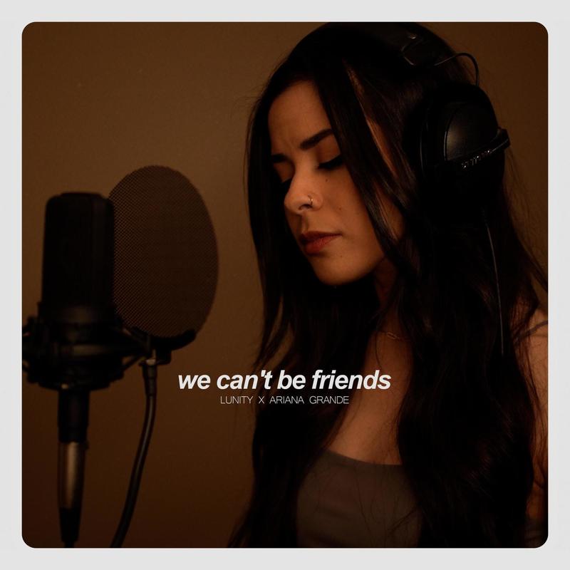 wecan'tbefriends(waitforyourlove)封面