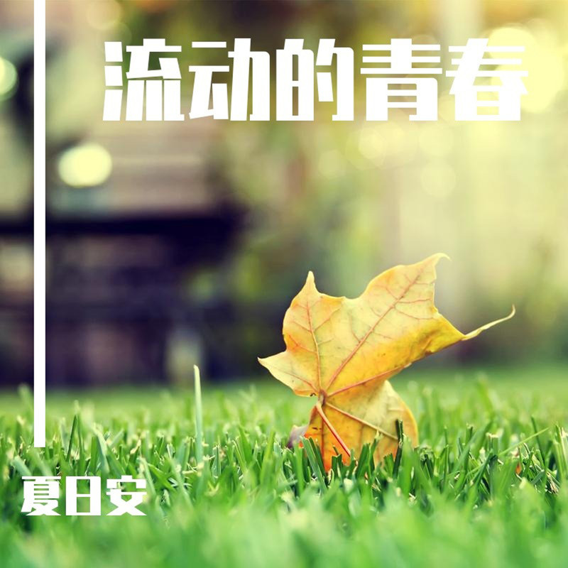 ThisLetterIWrite封面