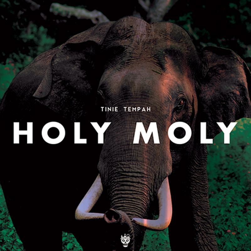 HolyMoly封面