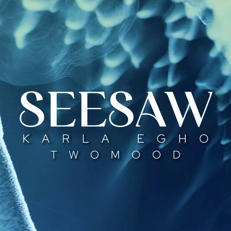 Seesaw封面