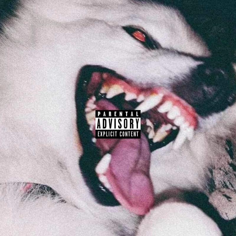 K9(SlideIn)封面