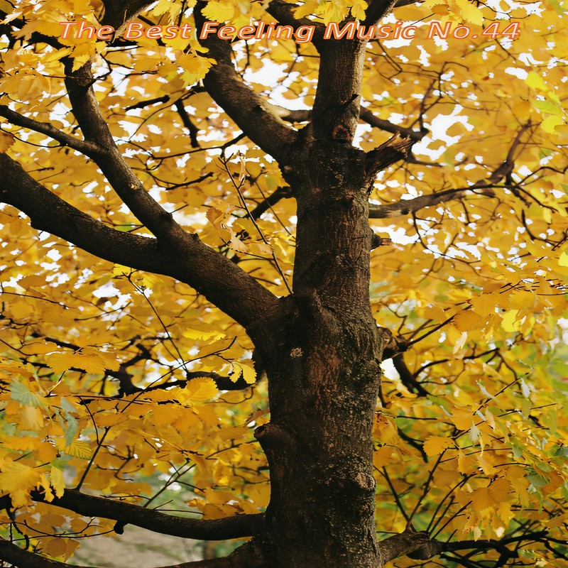 Sojourner(Edit)封面
