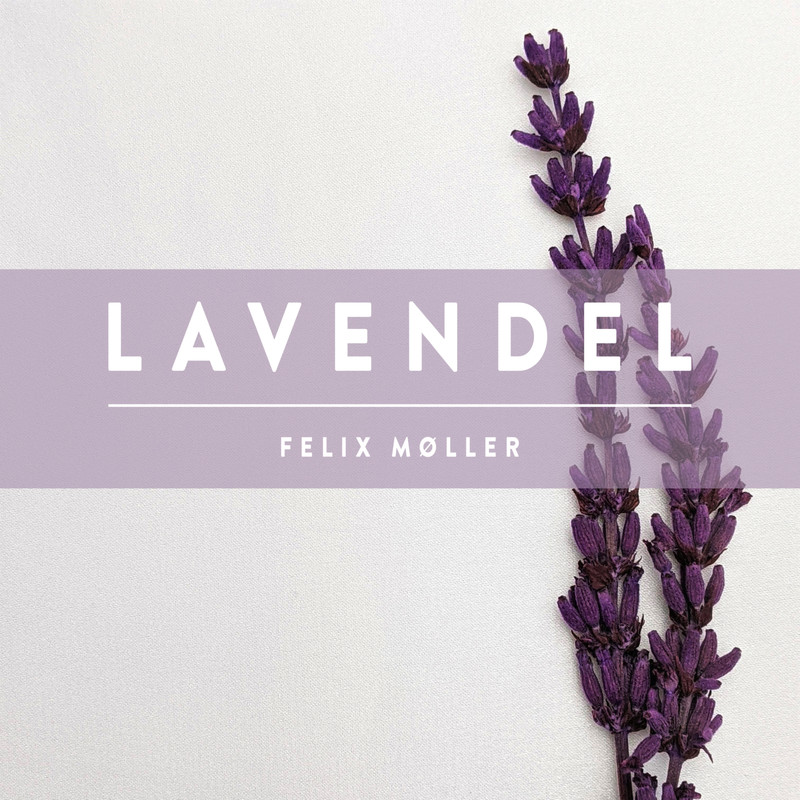 Lavendel封面