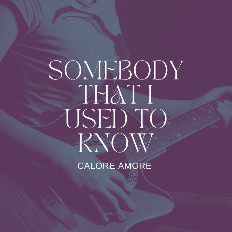 SomebodyThatIUsedtoKnow封面