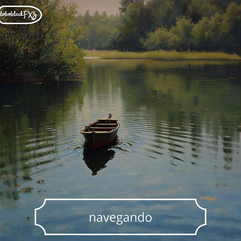 navegando封面