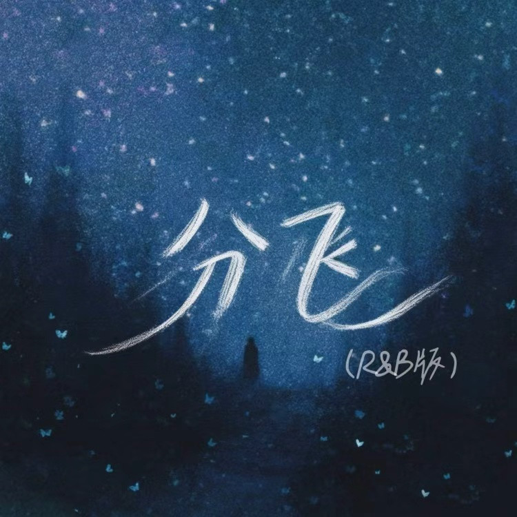 分飞封面