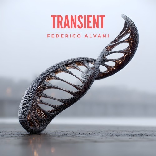 Transient封面